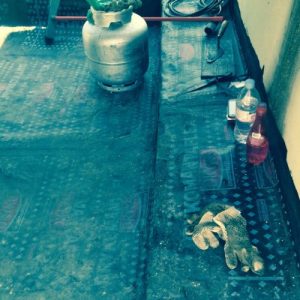 IMG-20180221-WA0008-500x500
